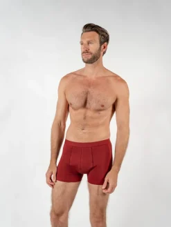 Boxer coton bio bordeaux