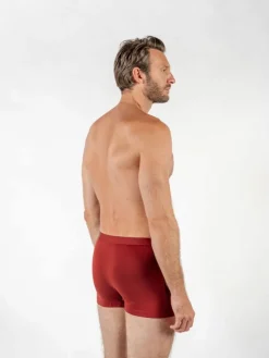 Boxer coton bio bordeaux